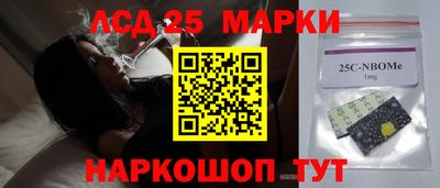 шишки Лесосибирск