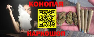 шишки Лесосибирск